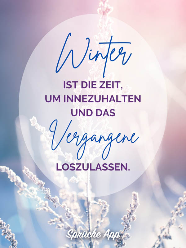 Gräser mit Frost in Winterlandschaft und Spruch: „Winter ist die Zeit, um innezuhalten und das Vergangene loszulassen."