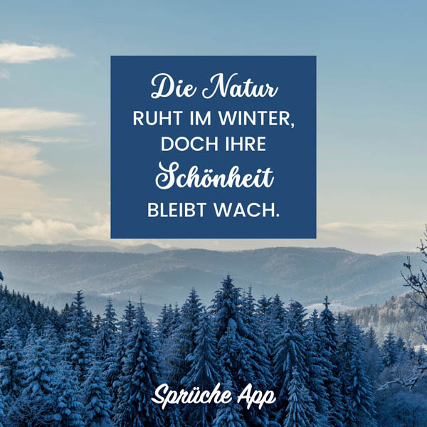 Winterlandschaft mit Schnee und Spruch: „Die Natur ruht im Winter, doch ihre Schönheit bleibt wach."