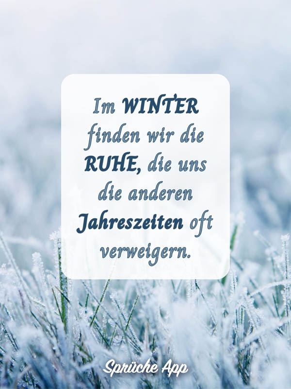 Wiese mit Frost auf dem Gras und Spruch in der Mitte: „Im Winter finden wir die Ruhe, die uns die anderen Jahreszeiten oft verweigern."