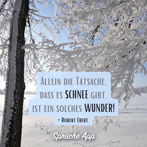 Winterlandschaft mit Schnee und dem Zitat: „Allein die Tatsache, dass es Schnee gibt, ist ein solches Wunder!" von Robert Ebert