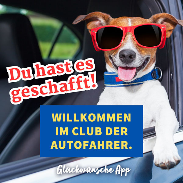 Hund mit Sonnenbrille, der aus einem Auto schaut mit Glückwunsch zur bestandenen Prüfung: „Du hast es geschafft! Willkommen im Club der Autofahrer."