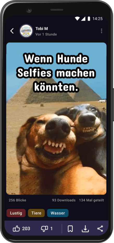 Detail-Ansicht aus der MegaLOL App auf dem ein Bild mit zwei lachenden Hunden, die ein Selfie machen zu sehen ist.