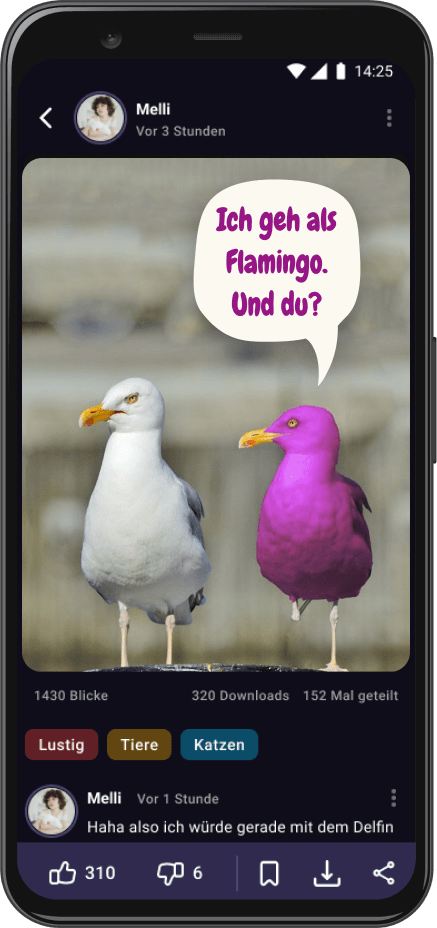 Detail-Ansicht aus der MegaLOL App auf dem ein Bild mit zwei Möwen zu sehen ist, auf dem eine Möwe lila ist und sagt "Ich geh als Flamingo. Und du?"