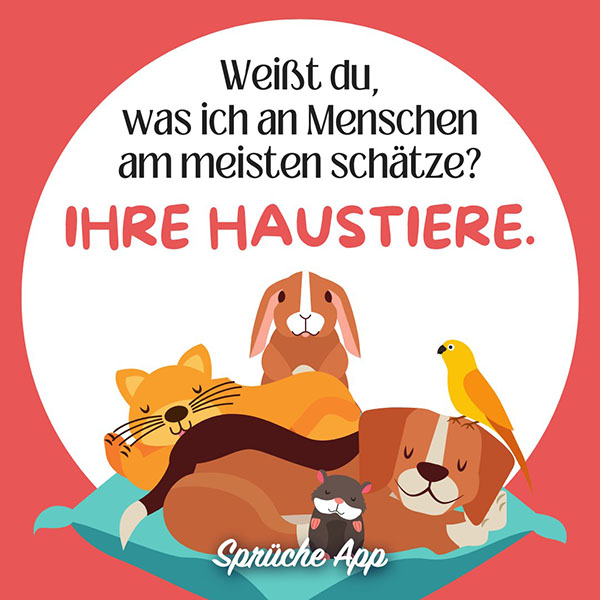 Illustrierte Haustiere mit lustigem Spruch: „Weißt du, was ich an Menschen am meisten schätze? Ihre Haustiere.“