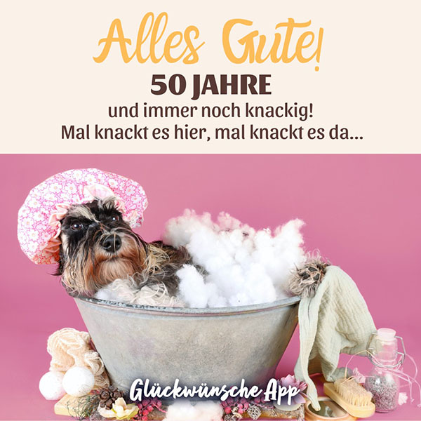 Hund in Badewanne mit Spruch zum 50. Geburtstag: „Alles Gute! 50 Jahre und immer noch knackig! Mal knackt es hier, mal knackt es da...“