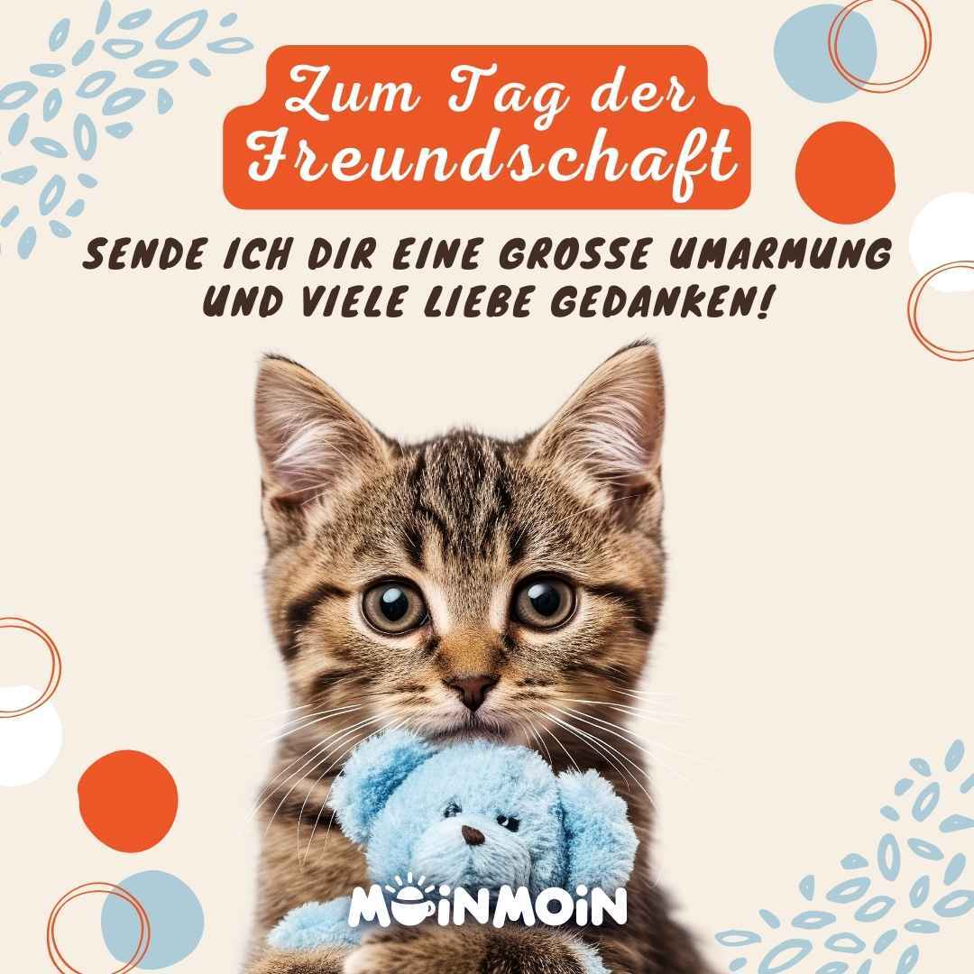 Katze, die ein Kuscheltier hält mit Text: „Zum Tag der Freundschaft sende ich dir eine große Umarmung und viele liebe Gedanken!"