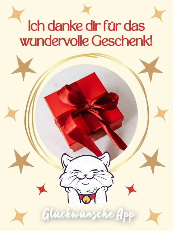 Rotes Geschenk und illustrierte Katze, die sich freut mit Danke für die Glückwünsche: „Ich danke dir für das wundervolle Geschenk!"