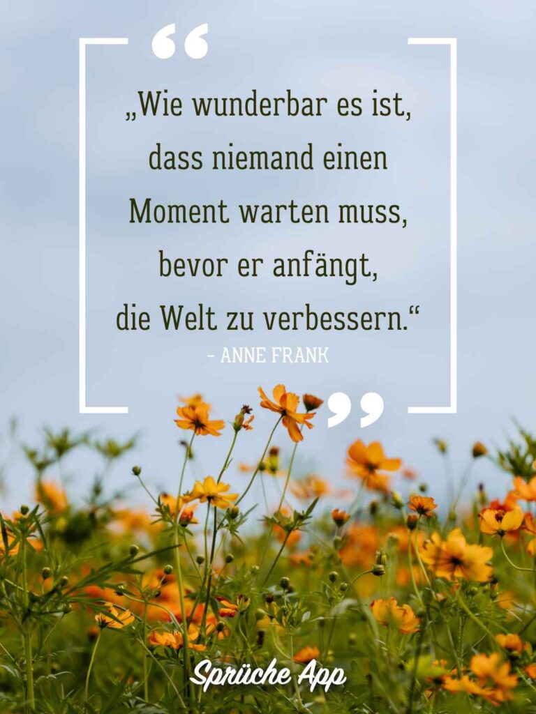 Blumenwiese mit orangen Blumen und Zitat: „Wie wunderbar es ist, dass niemand einen Moment warten muss, bevor er anfängt, die Welt zu verbessern.“ von Anne Frank