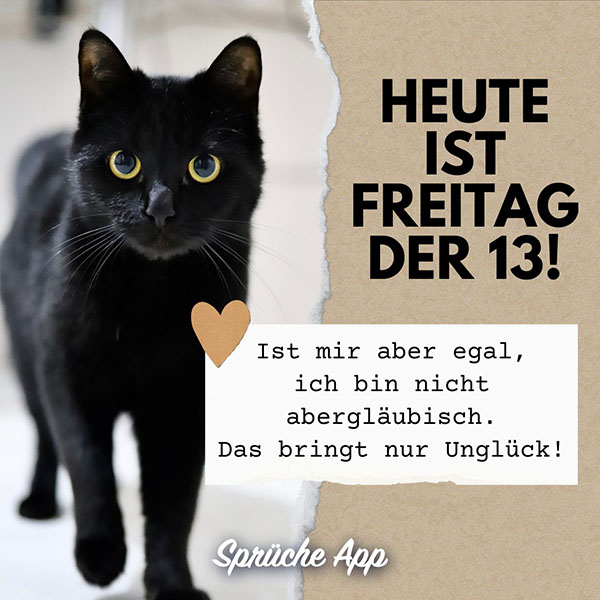 Schwarze Katze mit Spruch: „Heute ist Freitag der 13! Ist mir aber egal, ich bin nicht abergläubisch. Das bringt nur Unglück!"