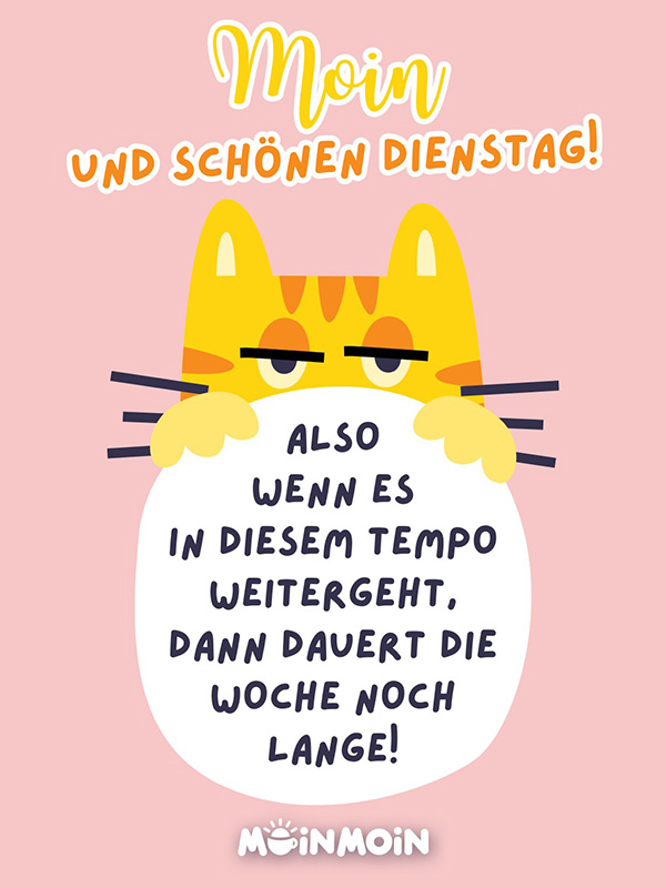 Illustrierte Katze, die genervt schaut mit Gruß: „Moin und schönen Dienstag! Also wenn es in diesem Tempo weitergeht, dann dauert die Woche noch lange!"