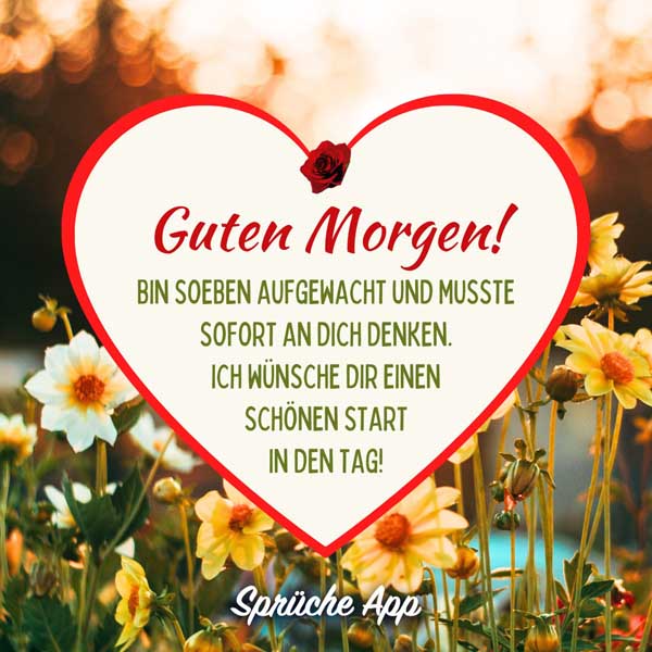 Gelbe Blumen auf Wiese mit Spruch: „Guten Morgen! Bin soeben aufgewacht und musste sofort an dich denken. Ich wünsche dir einen schönen Start in den Tag!"