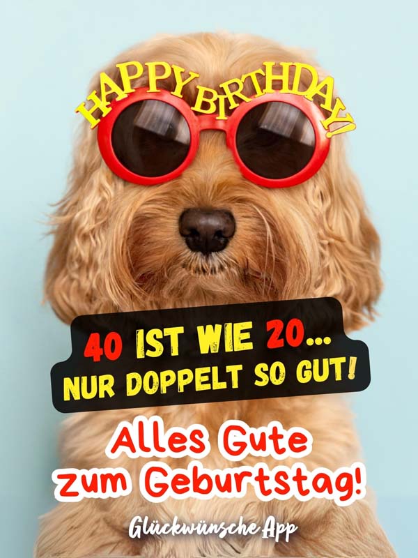 Hund mit Sonnenbrille und Spruch: „40 ist wie 20... nur doppelt so gut! Alles Gute zum Geburtstag!"