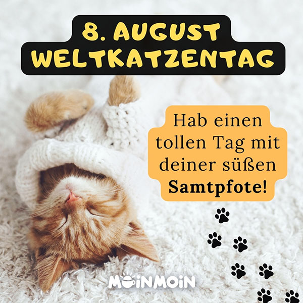 Katze, die am Teppich auf dem Rücken liegt mit Gruß: „08. August Der Weltkatzentag ist da! Hab einen tollen Tag mit deiner süßen Samtpfote!"