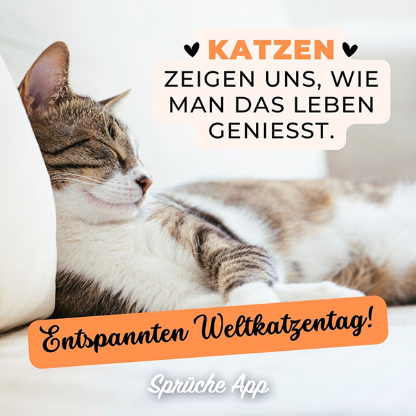 Katze, die auf dem Sofa liegt mit Spruch: „Katzen zeigen uns, wie man das Leben genießt. Entspannten Weltkatzentag!"