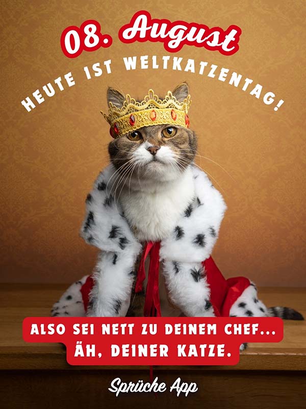 Katze mit Krone auf dem Kopf und Spruch: „08. August Heute ist Weltkatzentag! Also sei nett zu deinem Chef... äh, deiner Katze."