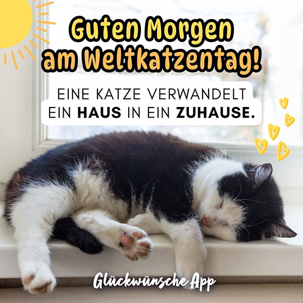 Katze, die auf der Fensterbank schläft mit Spruch: „Guten Morgen am Weltkatzentag! Eine Katze verwandelt ein Haus in ein Zuhause."