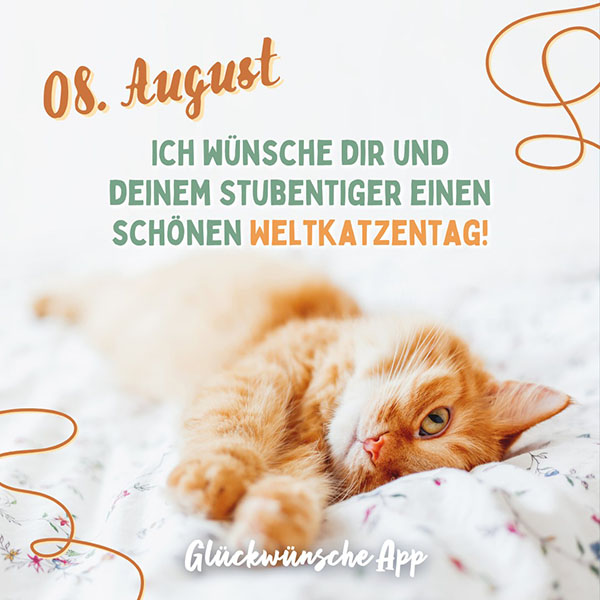 Katze, die im Bett liegt mit Text: „08. August Ich wünsche dir und deinem Stubentiger einen schönen Weltkatzentag!"