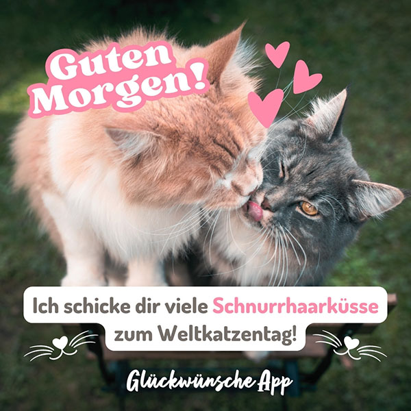 Zwei Katzen, die sich küssen mit Gruß: „Guten Morgen! Ich schicke dir viele Schnurrhaarküsse zum Weltkatzentag!"