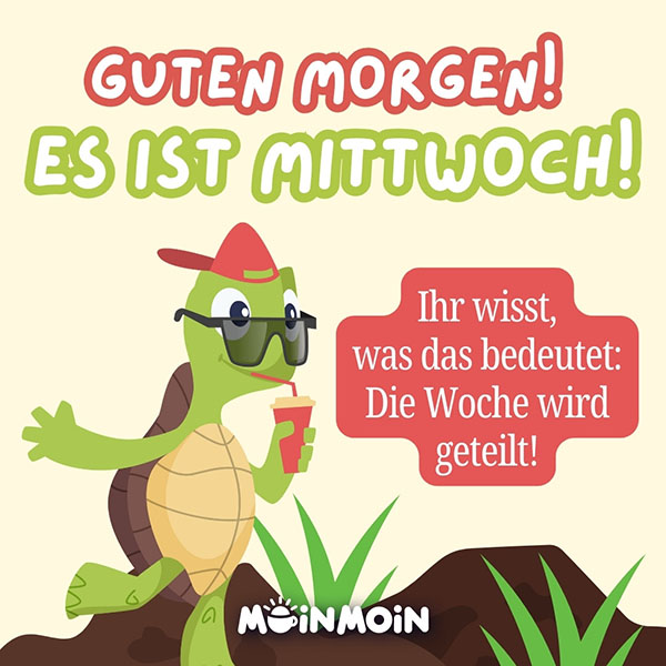 Illustrierte Schildkröte mit Sonnenbrille und Hut darüber der Gruß: „Guten Morgen! Es ist Mittwoch! Ihr wisst, was das bedeutet: Die Woche wird geteilt!"