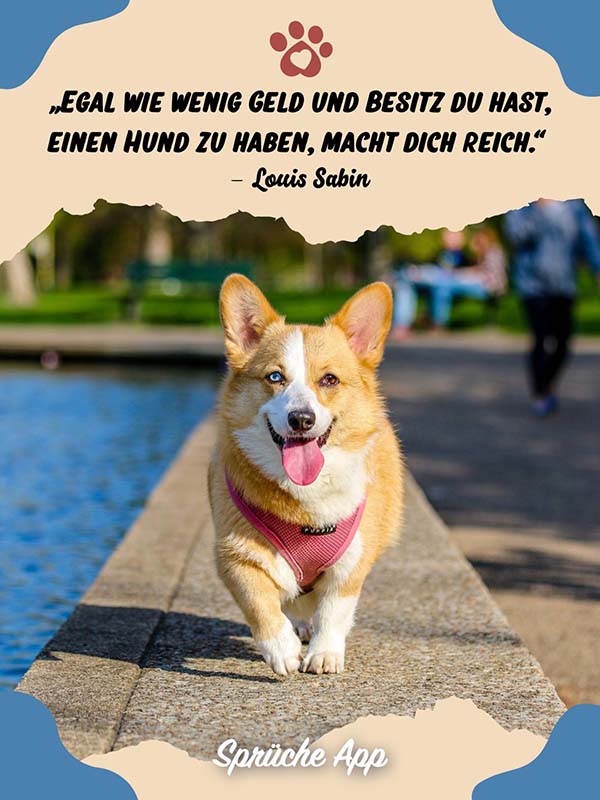 Orangener Corgi, der läuft mit dem Hunde Zitat zum Nachdenken: „Egal wie wenig Geld und Besitz du hast, einen Hund zu haben, macht dich reich.“ von Louis Sabin