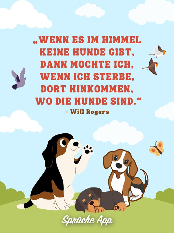 Drei illustrierte Hunde, die auf einer Wiese sitzen mit dem Himmel im Hintergrund und einem Zitat darüber von Will Rogers das lautet: „Wenn es im Himmel keine Hunde gibt, dann möchte ich, wenn ich sterbe, dort hinkommen, wo die Hunde sind.“