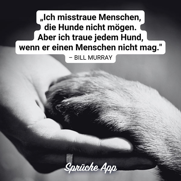 Schwarz-Weiß Foto von einer Hundepfote in einer Menschenhand mit Zitat: „Ich misstraue Menschen, die Hunde nicht mögen. Aber ich traue jedem Hund, wenn er einen Menschen nicht mag." von Bill Murray