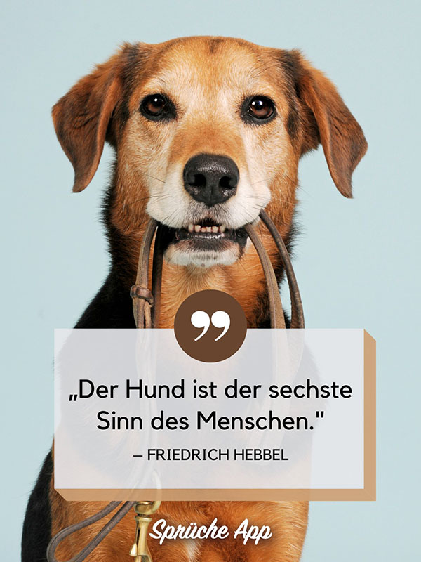 Hund, der seine Leine im Maul hält mit nachdenklichem Zitat: „Der Hund ist der sechste Sinn des Menschen." von Friedrich Hebbel