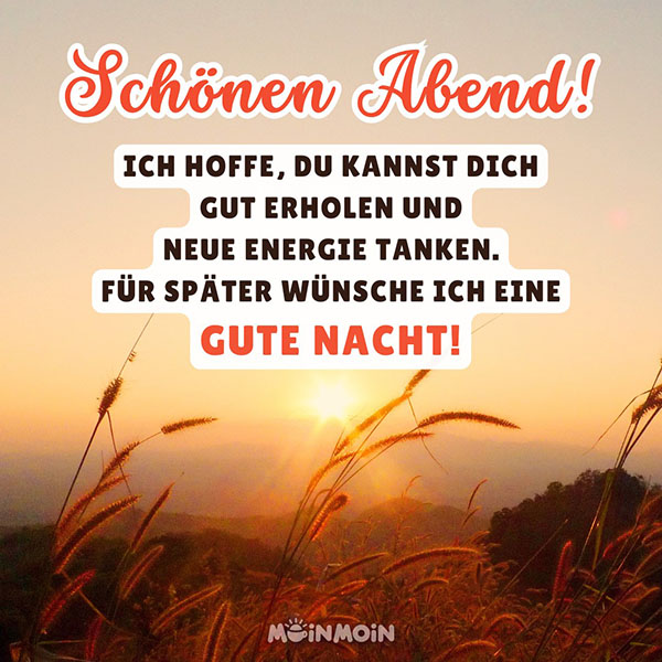 Sonnenuntergang auf einem Feld mit Gruß: „Schönen Abend! Ich hoffe, du kannst dich gut erholen und neue Energie tanken. Für später wünsche ich eine gute Nacht!"