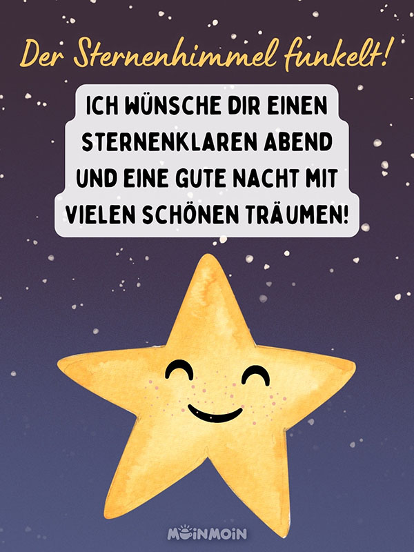 Illustrierter Sternenhimmel mit einem großen Stern im Vordergrund und Gruß: „Der Sternenhimmel funkelt! Ich wünsche dir einen sternenklaren Abend und eine gute Nacht mit vielen schönen Träumen!“