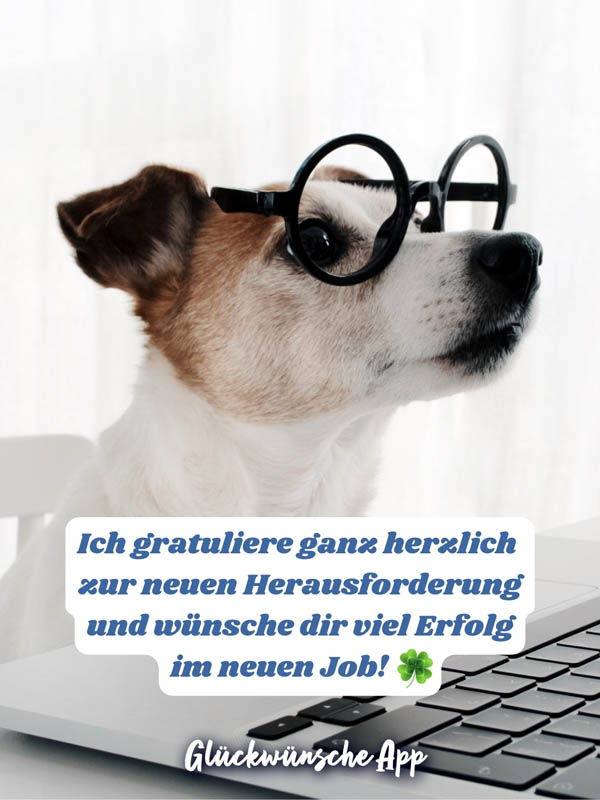 Hund mit Brille, der auf den Laptop sieht mit Glückwünsche: „Ich gratuliere ganz herzlich zur neuen Herausforderung und wünsche dir viel Erfolg im neuen Job!"