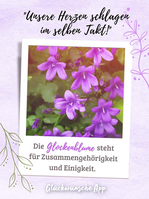 Polaroid-Bild von Kornblumen mit Gruß darüber: „Unsere Herzen schlagen im selben Takt!" und darunter: „Die Glockenblume steht für Zusammengehörigkeit und Einigkeit."