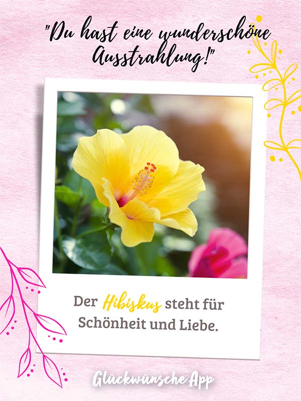 Polaroid-Bild von Kornblumen mit Blumensprache Gruß darüber: „Du hast eine wunderschöne Ausstrahlung!" und darunter: „Der Hibiskus steht für Schönheit und Liebe."