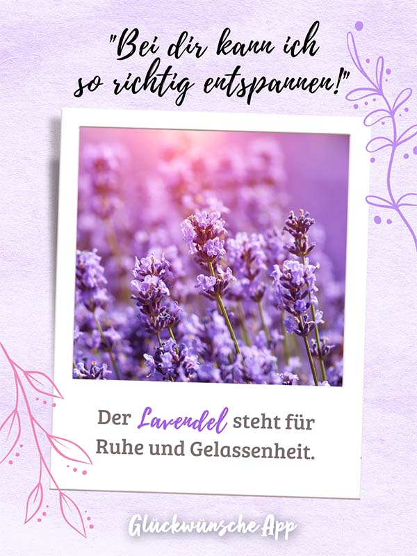 Polaroid-Bild von Kornblumen mit Blumensprache Gruß darüber: „Bei dir kann ich so richtig entspannen!" und darunter: „Der Lavendel steht für Ruhe und Gelassenheit."