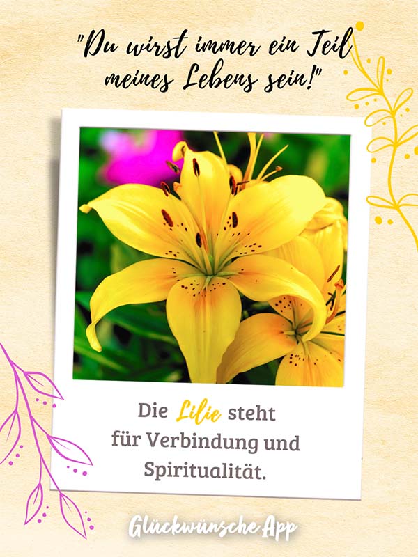 Polaroid-Bild von Kornblumen mit Gruß darüber: „Du wirst immer ein Teil meines Lebens sein!" und darunter: „Die Lilie steht für Verbindung und Spiritualität."