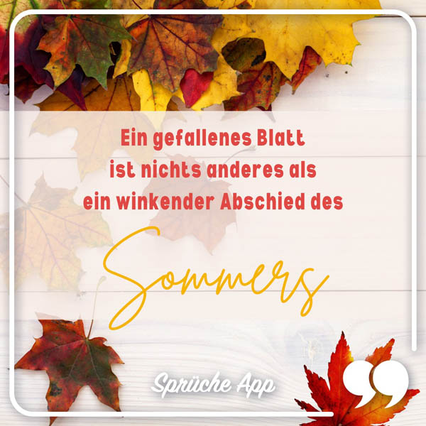 Bunter Herbstblätter im Hintergrund davor der Text: „Ein gefallenes Blatt ist nichts anderes als ein winkender Abschied des Sommers."