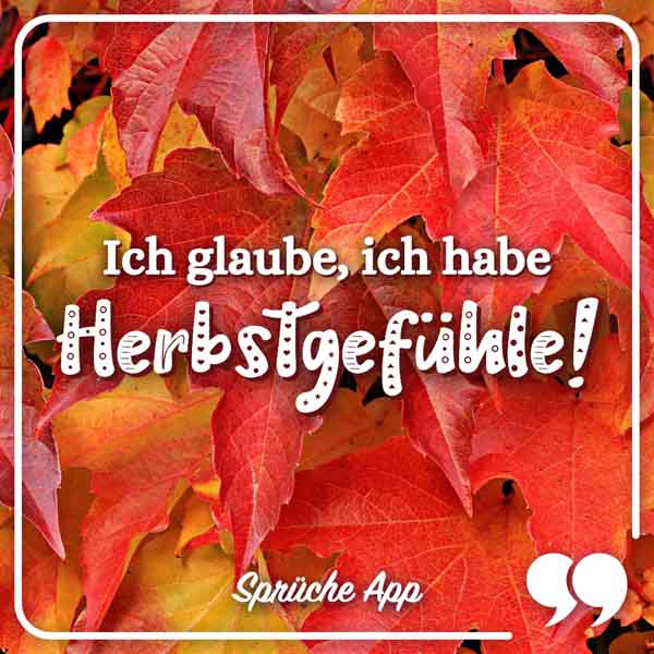 Rote Herbstblätter im Hintergrund davor der kurze Spruch: „Ich glaube, ich habe Herbstgefühle!"