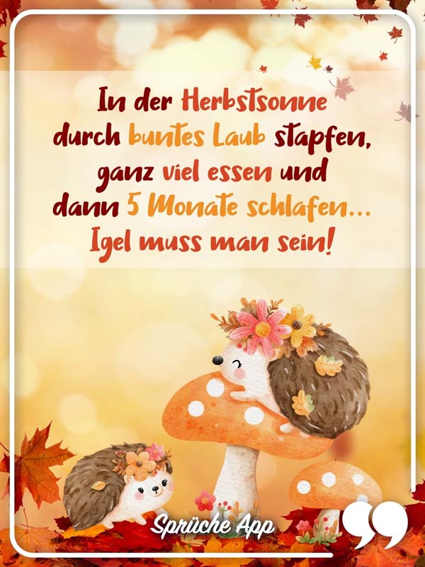 Illustrierte Igel auf Pilzen und bunten Herbstblättern mit Spruch: „In der Herbstsonne durch buntes Laub stapfen, ganz viel essen und dann 5 Monate schlafen… Igel muss man sein!"