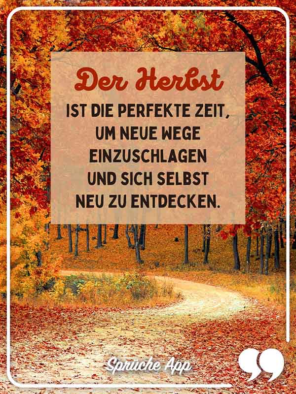 Weg, der durch einen bunten Herbstwald führt mit Spruch: „Der Herbst ist die perfekte Zeit, um neue Wege einzuschlagen und sich selbst neu zu entdecken."