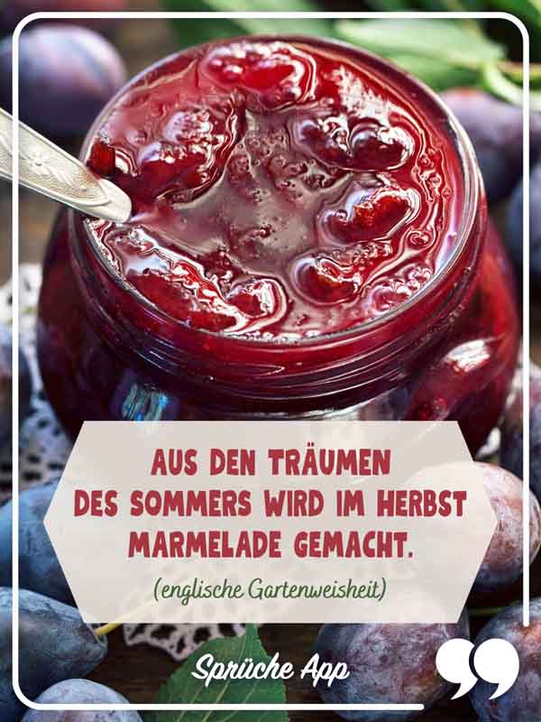 Pflaumenmarmelade in einem Glas und davor der Spruch, der eine englische Gartenweisheit ist: „Aus den Träumen des Sommers wird im Herbst Marmelade gemacht."