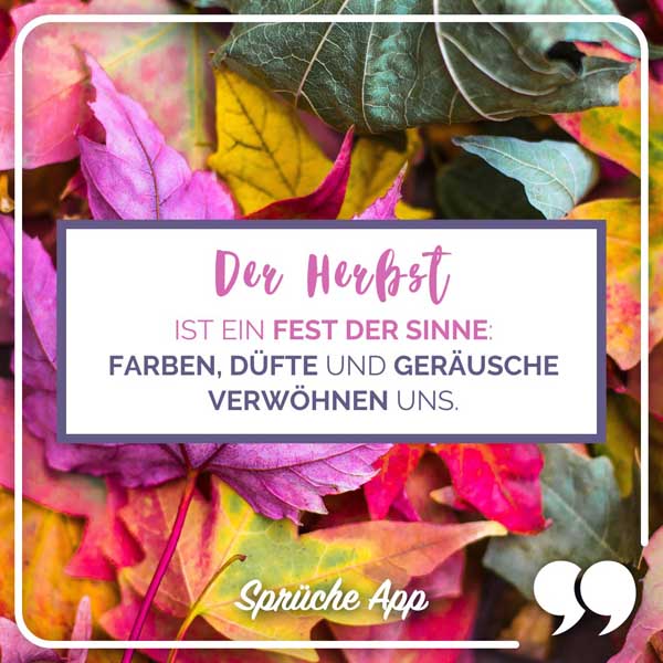 Bunte Herbstblätter im Hintergrund mit Spruch: „Der Herbst ist ein Fest der Sinne: Farben, Düfte und Geräusche verwöhnen uns."