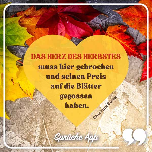 Bunte Herbstblätter im Hintergrund mit Zitat: „Das Herz des Herbstes muss hier gebrochen und seinen Preis auf die Blätter gegossen haben." von Charlotte Bates