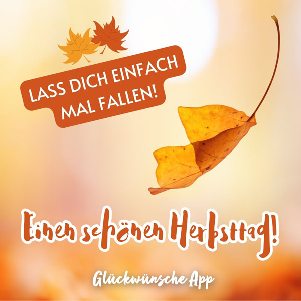 Ein oranges Herbstblatt, das fällt mit Gruß: „Einen schönen Herbsttag! Lass dich einfach mal fallen!"