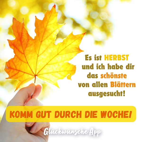 Frau, die ein Herbstblatt gegen die Sonne hält mit Text: „Es ist Herbst und ich habe dir das schönste von allen Blättern ausgesucht! Komm gut durch die Woche!"