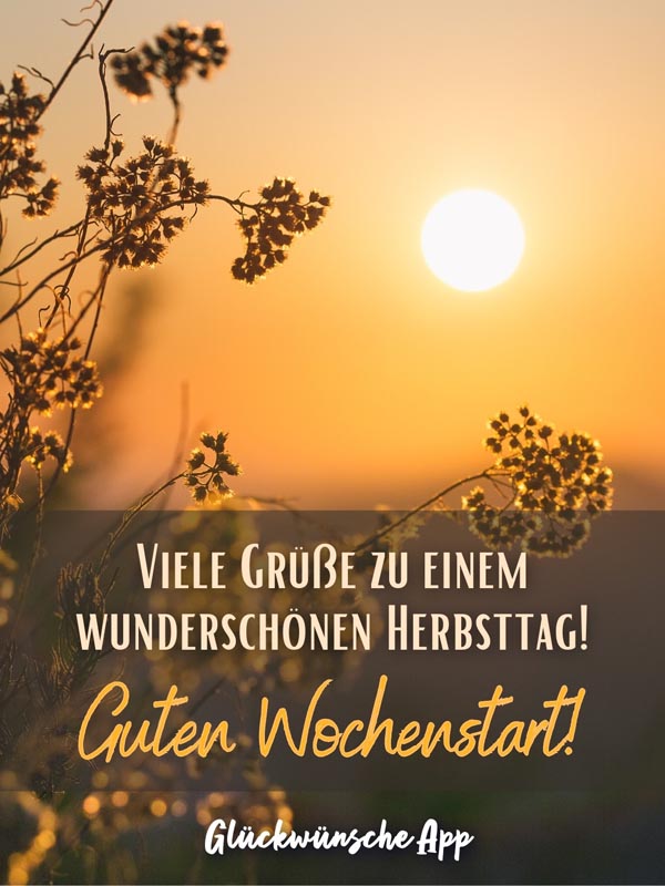 Vertrocknete Herbstblumen im Sonnenaufgang mit Gruß: „Viele Grüße zu einem wunderschönen Herbsttag! Guten Wochenstart!"