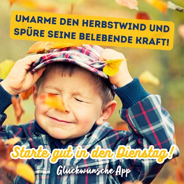 Kleiner Junge, der sich den Hut hält während Herbstblätter fallen und WhatsApp Gruß: „Umarme den Herbstwind und spüre seine belebende Kraft! Starte gut in den Dienstag!"