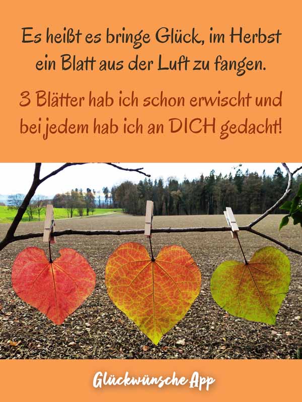 Drei Herbstblätter auf einem Zweig mit Text darüber: „Genieße die goldenen Sonnenstrahlen und das raschelnde Laub unter deinen Füßen."