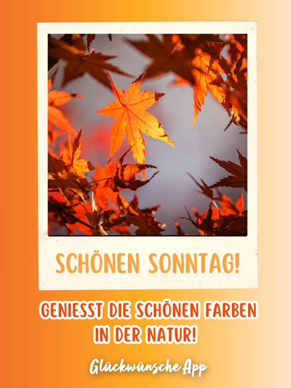 Orangene Herbstblätter als Polaroid-Bild mit Text darunter: „Schönen Sonntag! Genießt die schönen Farben in der Natur!"