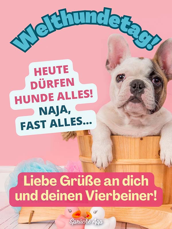 Hund, der in einem Badefass sitz mit Gruß: „Welthundetag! Heute dürfen Hunde alles! Naja, fast alles… Liebe Grüße an dich und deinen Vierbeiner! Herzliche Grüße zum Welthundetag!"