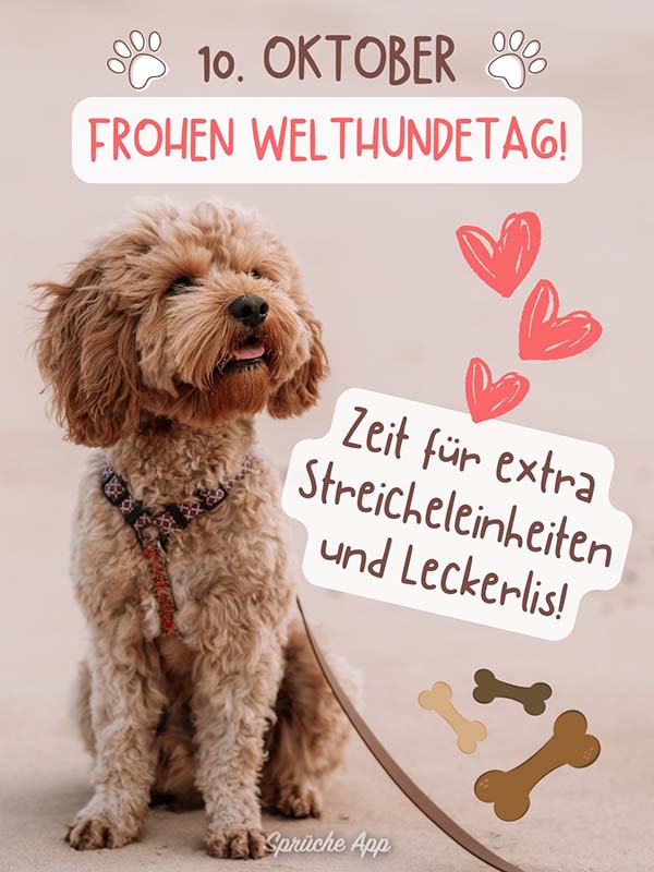 Labradoodle Hund an der Leine mit Gruß: „10. Oktober Frohen Welthundetag! Zeit für extra Streicheleinheiten und Leckerlis!"