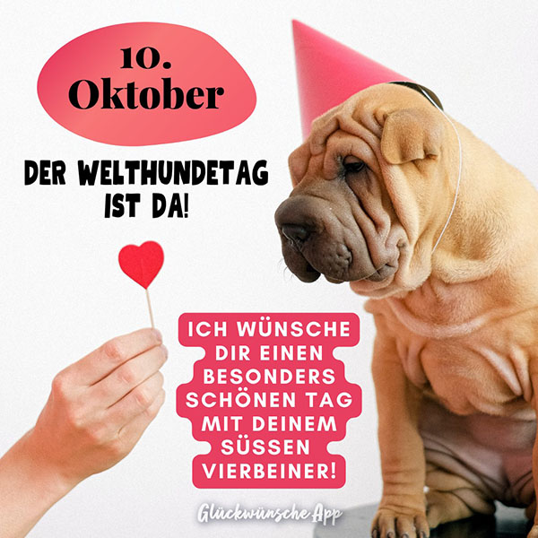 Hund, der einen Partyhut aufhat und Hand, die einen Herz-Schlecker hält mit Spruch: „10. Oktober Der Welthundetag ist da! Ich wünsche dir einen besonders schönen Tag mit deinem süßen Vierbeiner!"